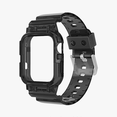 Watchband With Case